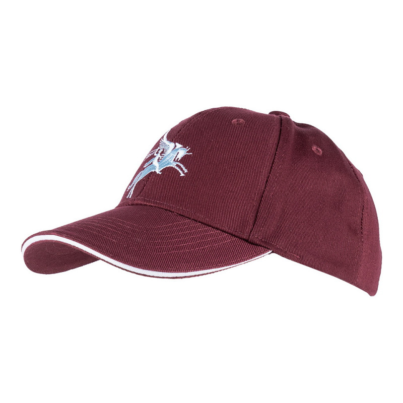 Baseball Cap - Pet | Pegasus | Fostex Garments
