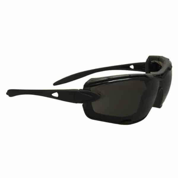 SwissEye bril Detection