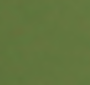Vietnam green